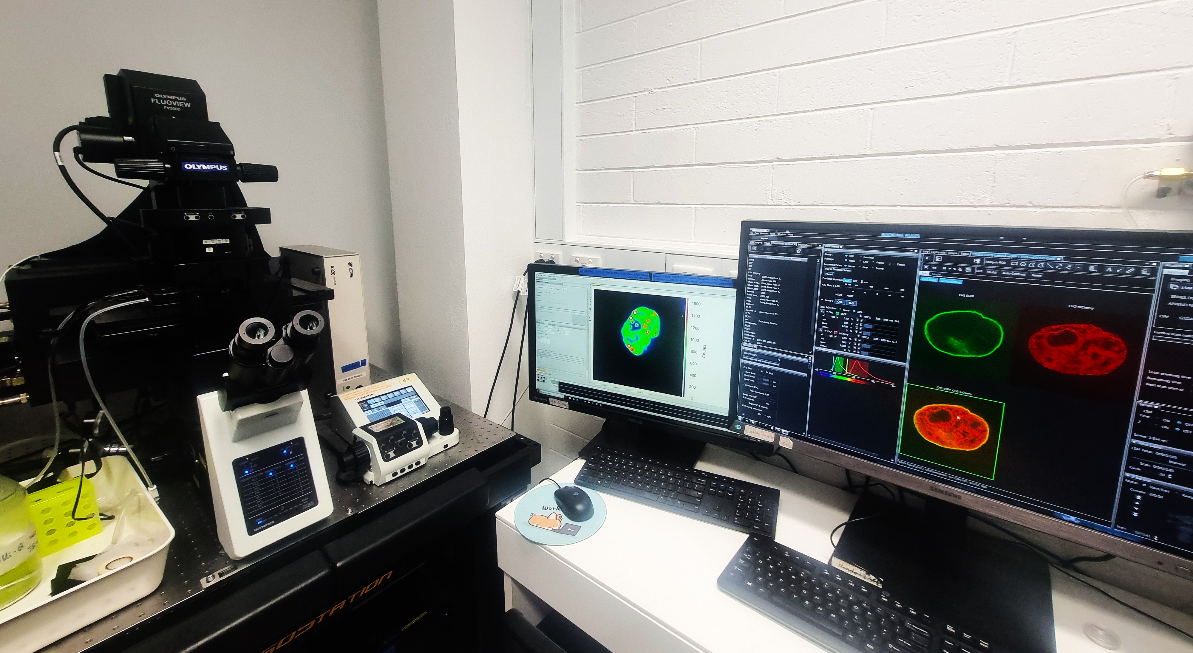 Olympus FV3000 microscope